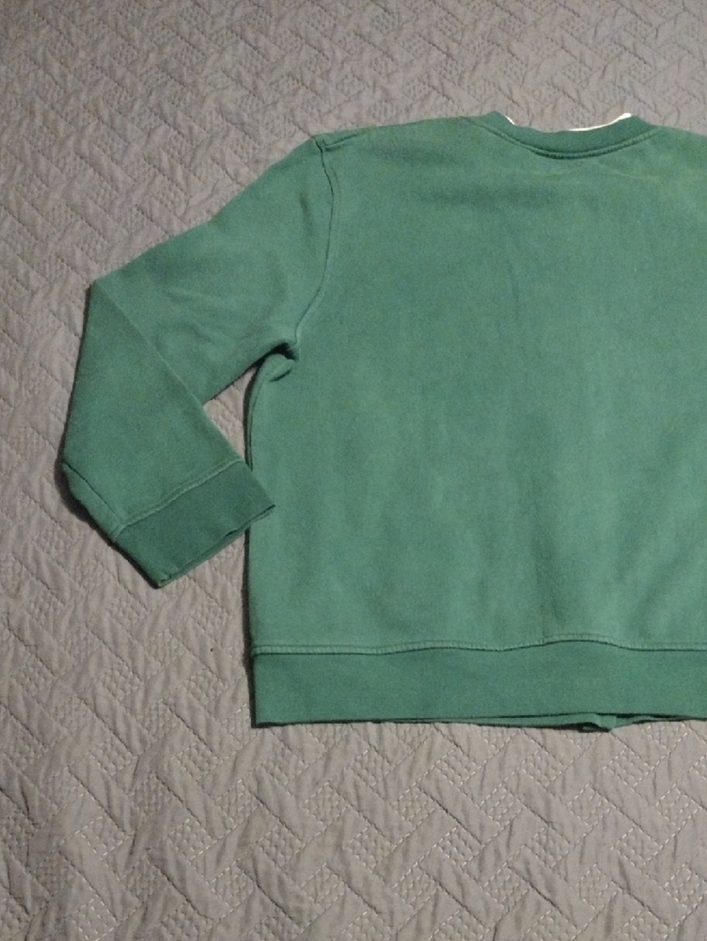 Speculation Green Button-Up Cardigan with Sunflower & Pumpkin Embroidery - Picture 10 of 11